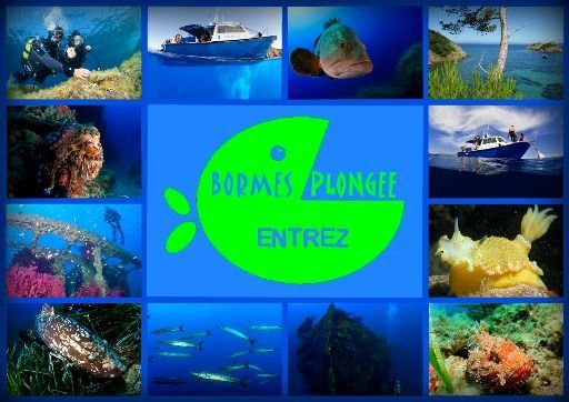 Bormes Plongées à Bormes Les Mimosas 83230 (Var)